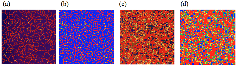 Simulations of evolutionary games in space 1